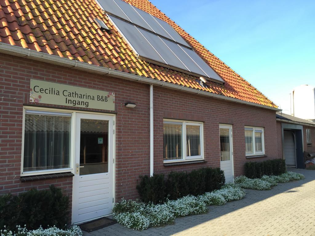 Cecilia - Catharina B&B Joure Zewnętrze zdjęcie